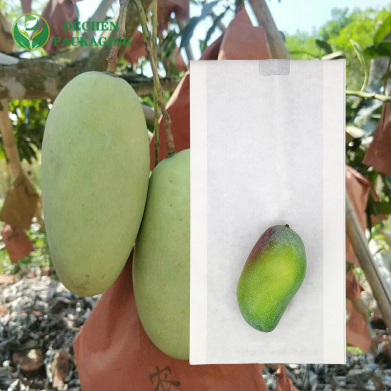 Cheap Bagging Paper Bag for Fruit with High Quality Bagging Paper Bag for Fruit - Budget & Premium